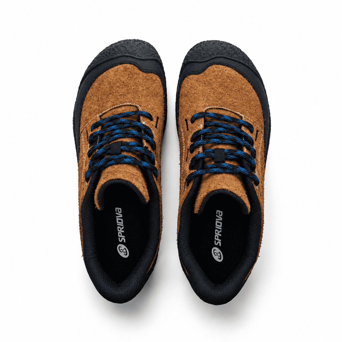 #color_Brown/Black
